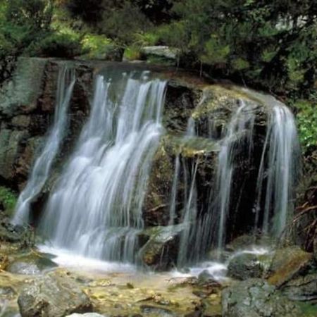 La Candela Cercedilla Bagian luar foto